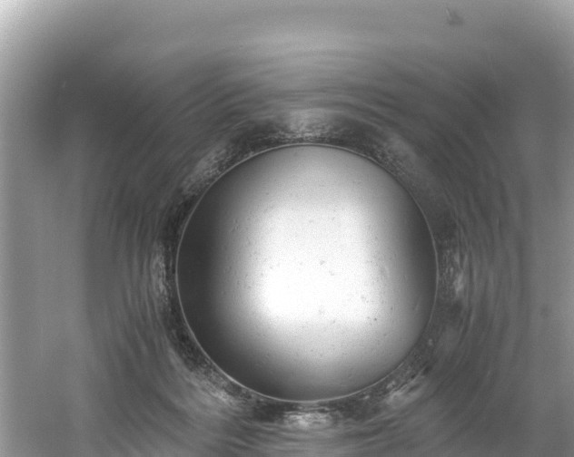 X0000061120220200511211009