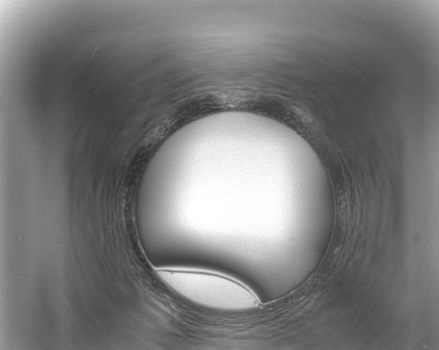 X0000061120221200511211009