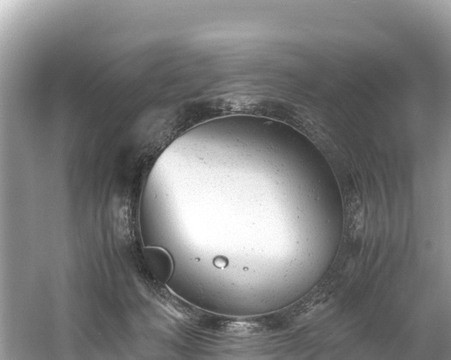 X0000061120222200511211009