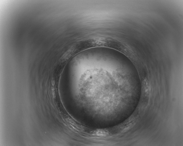 X0000061120223200511211009