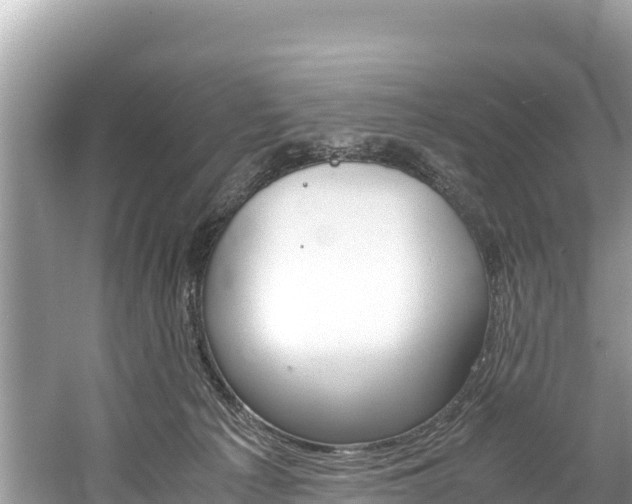 X0000061120225200511211009