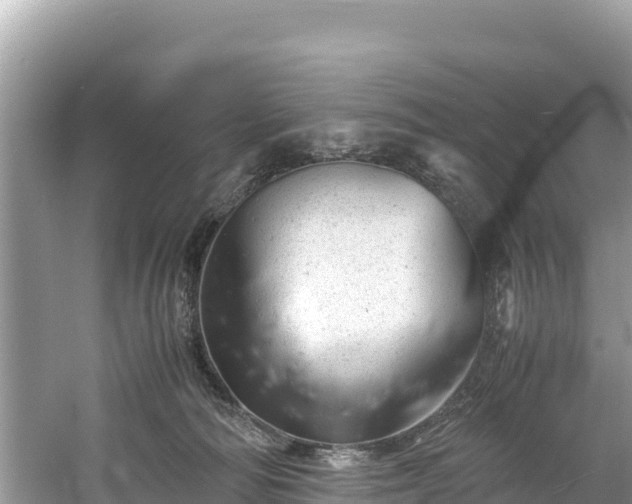 X0000061120226200511211009