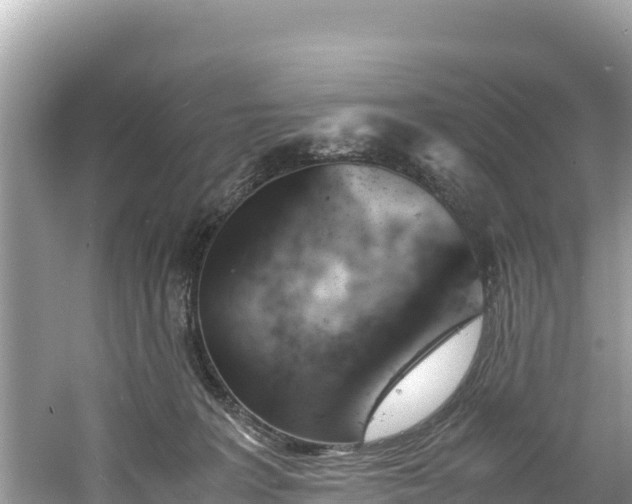 X0000061120227200511211009