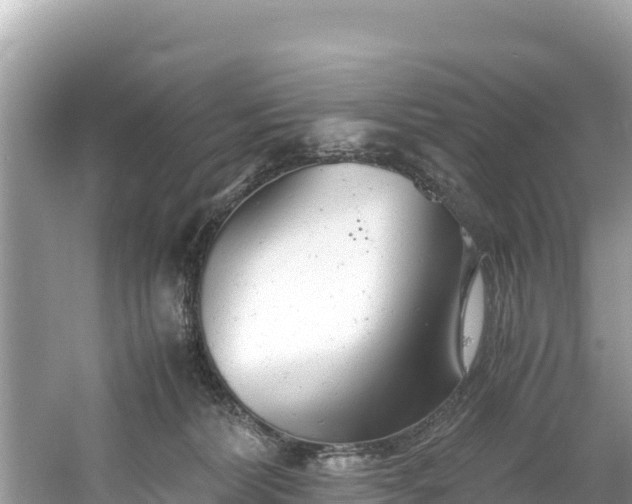 X0000061120228200511211009