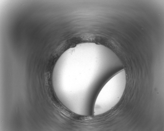 X0000061120229200511211009