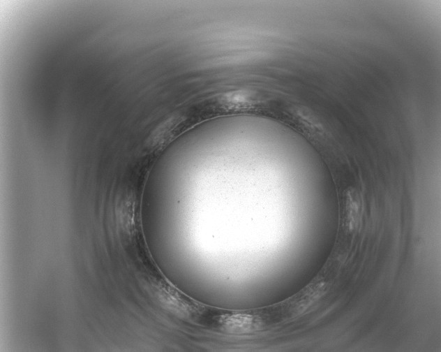 X0000061120230200511211009