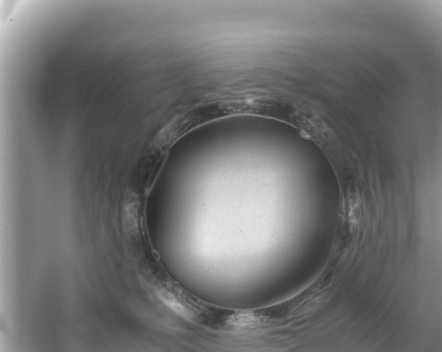 X0000061120231200511211009