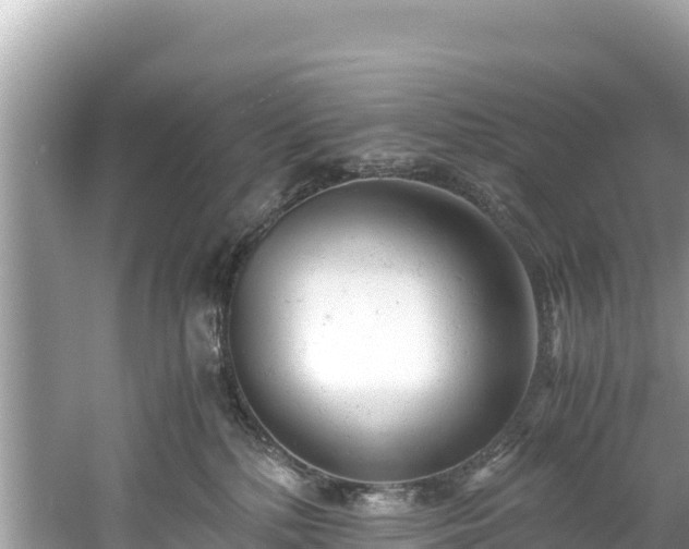 X0000061120232200511211009