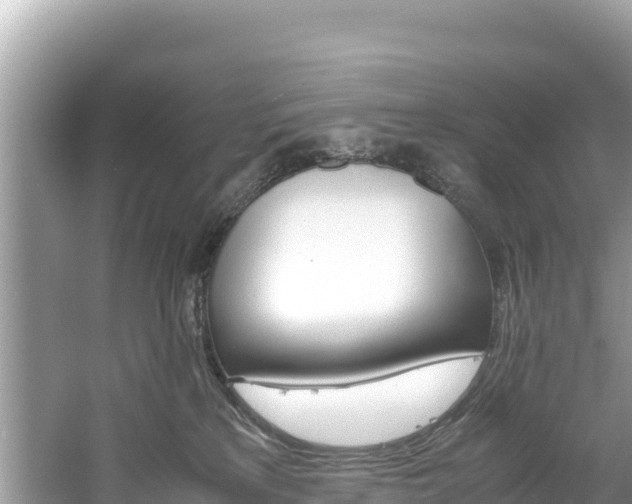 X0000061120233200511211009