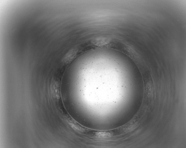 X0000061120234200511211009