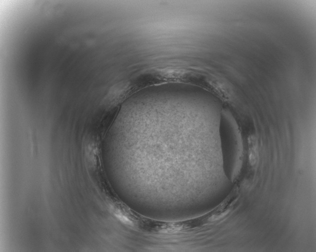 X0000061120235200511211009