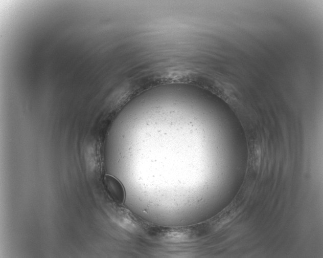 X0000061120236200511211009