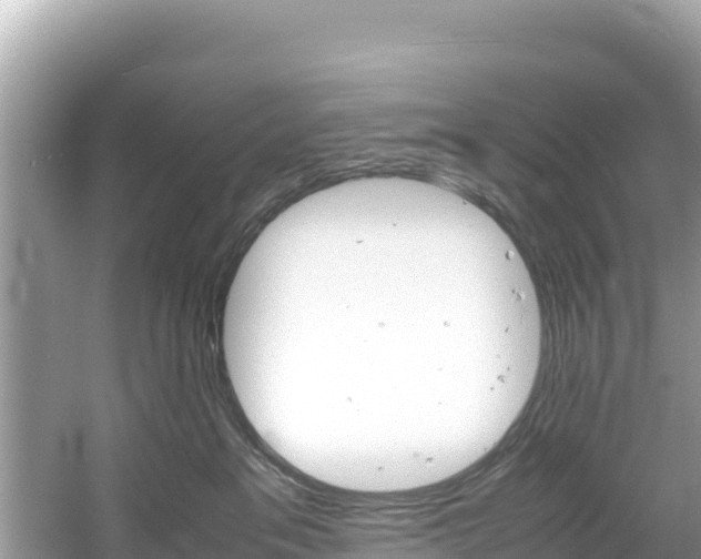 X0000061120237200511211009