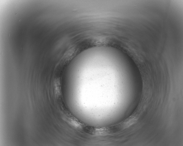 X0000061120240200511211009