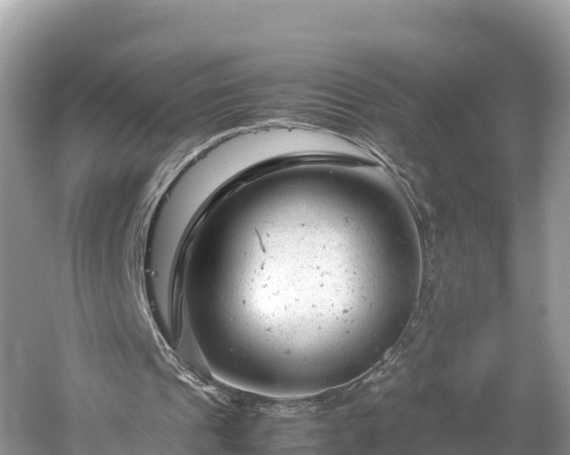 X0000061120241200511211008