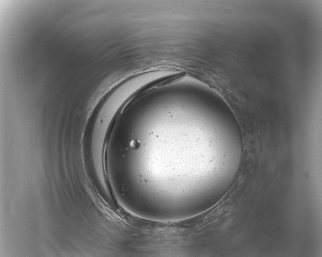 X0000061120242200511211008