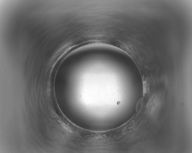 X0000061120243200511211008