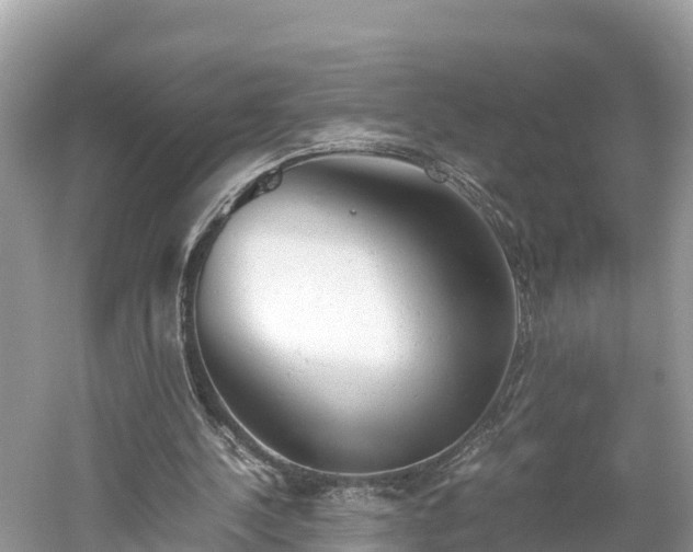 X0000061120244200511211008