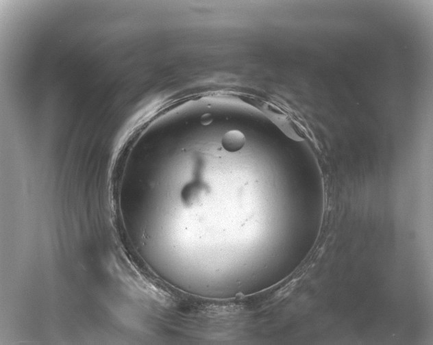 X0000061120245200511211008