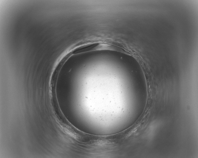 X0000061120246200511211008