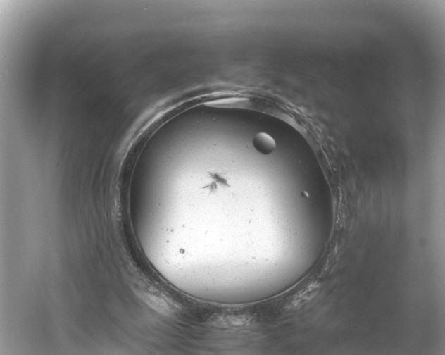 X0000061120247200511211008