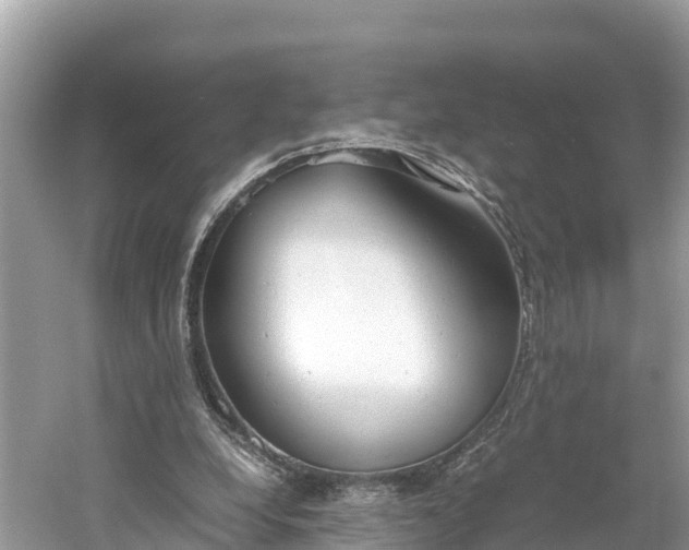 X0000061120248200511211008