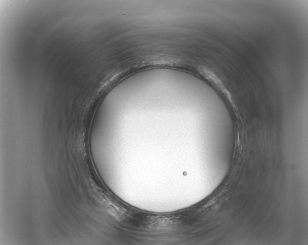 X0000061120249200511211008