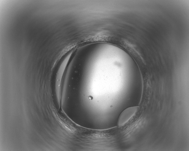 X0000061120250200511211008