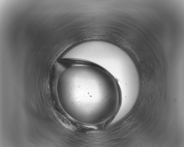 X0000061120251200511211008