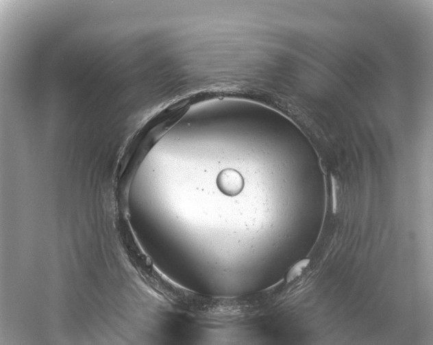 X0000061120252200511211008