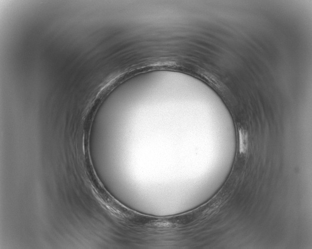 X0000061120253200511211008