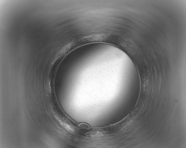 X0000061120254200511211008