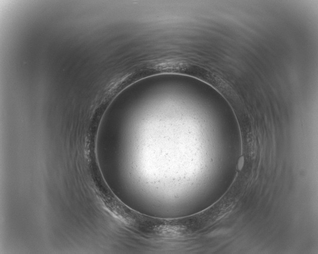 X0000061120255200511211008