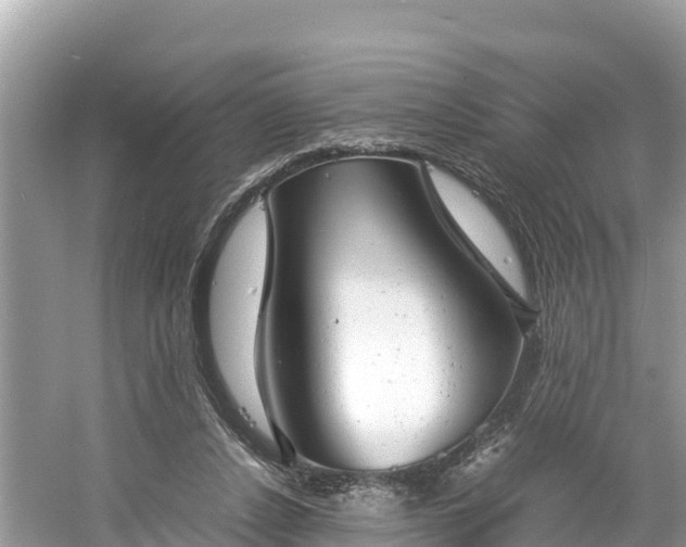 X0000061120256200511211008