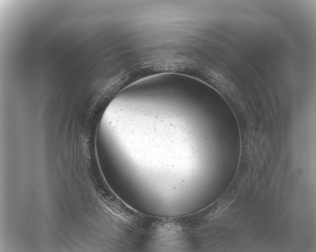 X0000061120258200511211008