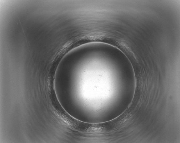 X0000061120260200511211008