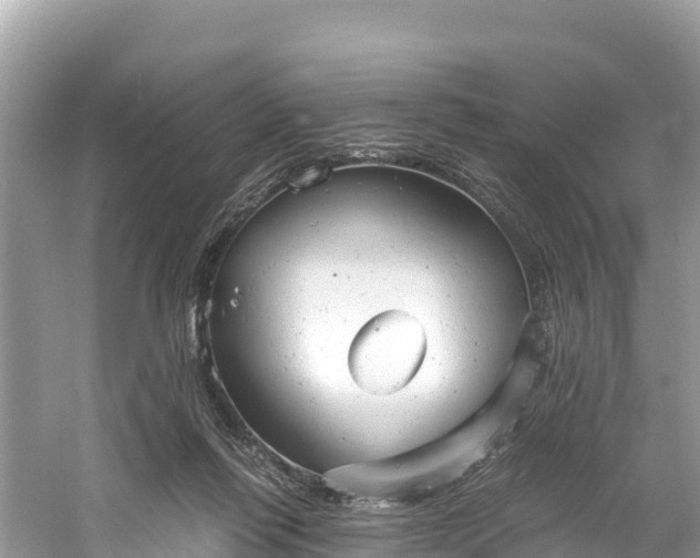 X0000061120262200511211008