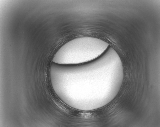 X0000061120265200511211008