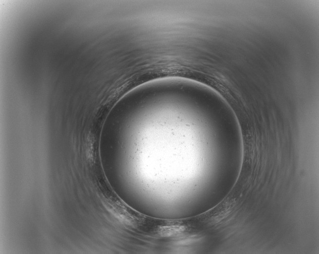 X0000061120266200511211008