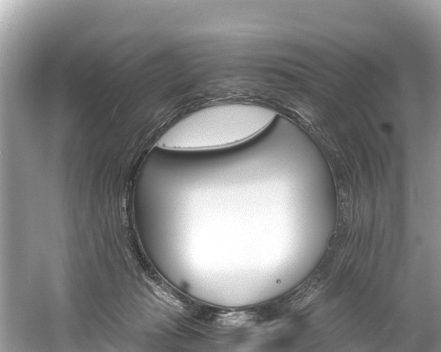 X0000061120269200511211008