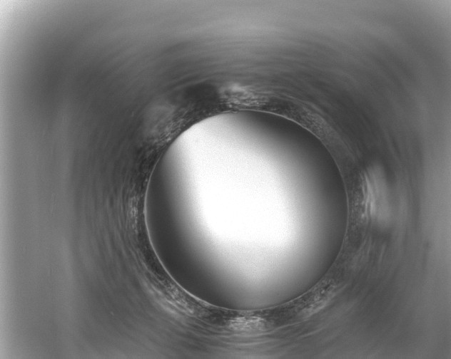 X0000061120271200511211008