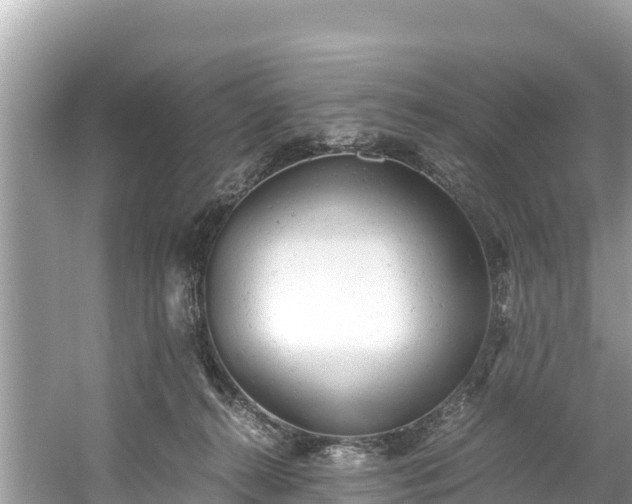 X0000061120272200511211008