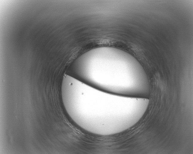 X0000061120273200511211009