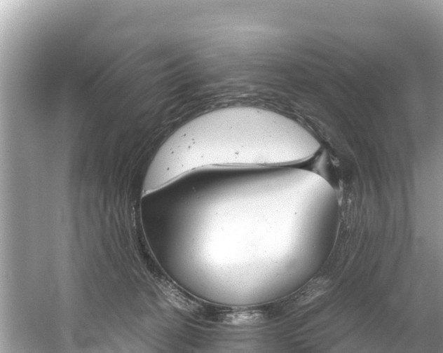 X0000061120274200511211009