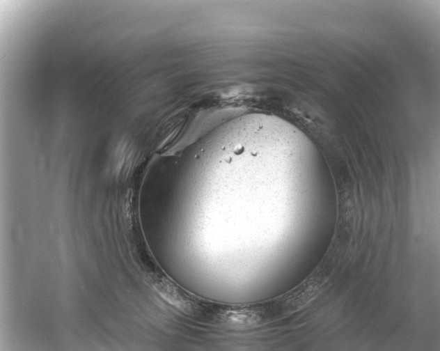 X0000061120275200511211009