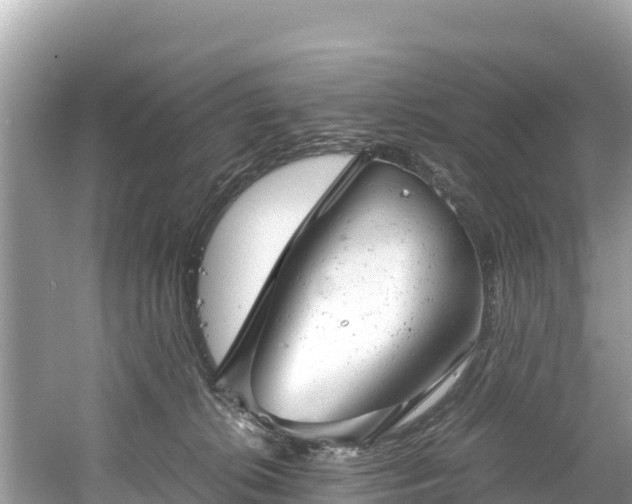 X0000061120276200511211009