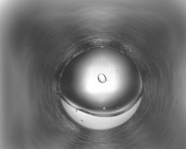 X0000061120278200511211009