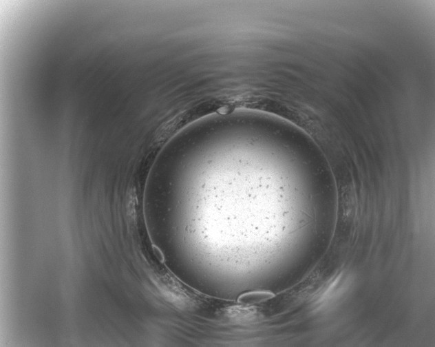 X0000061120279200511211009