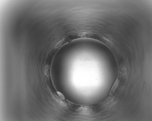 X0000061120280200511211009