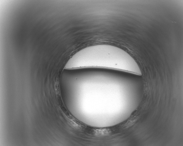 X0000061120281200511211009